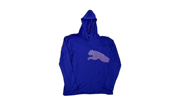 TRAIN ALL DAY BIG CAT HOODIE - 525062-27